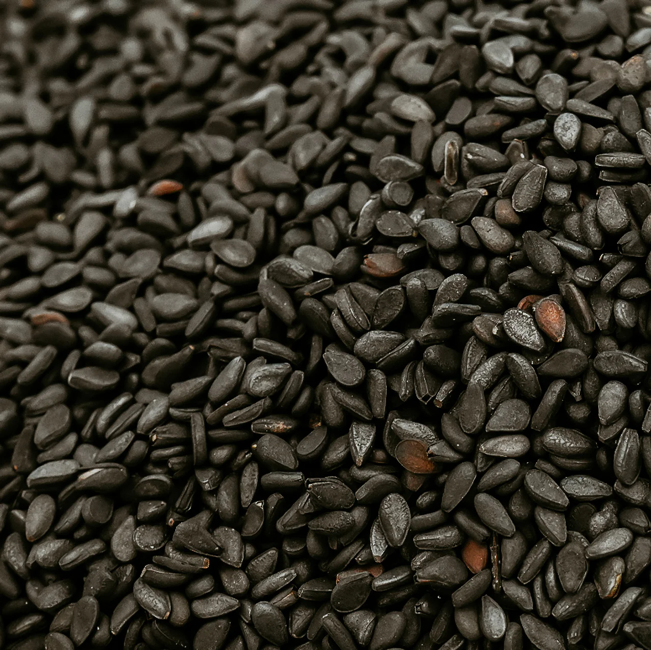 Black Sesame | Fragrance Oil