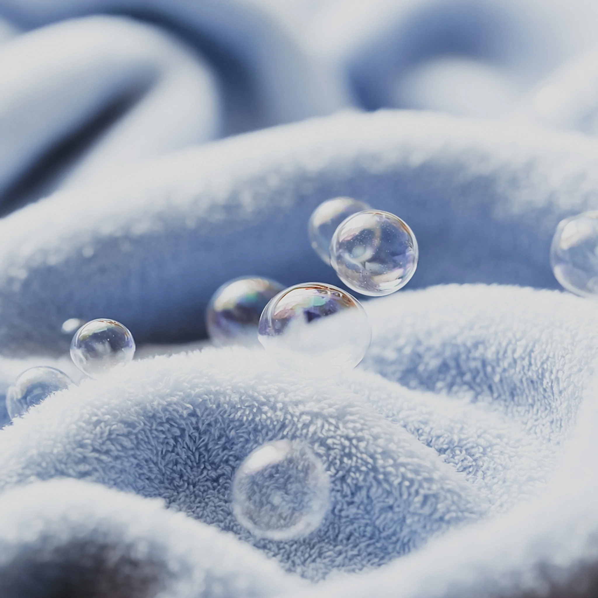 Clean & Cozy | Fragrance Oil