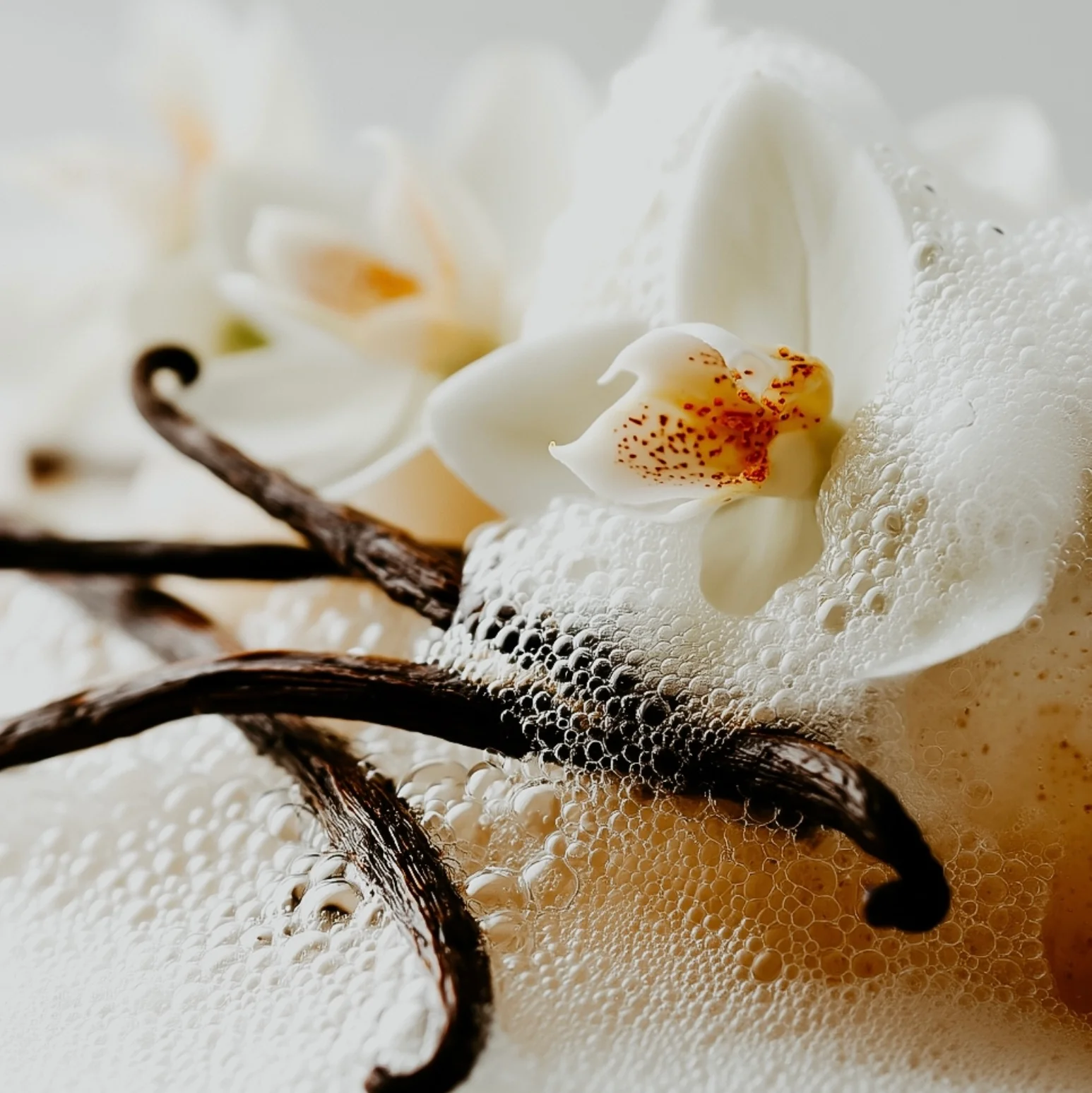 Clean Girl Vanilla | Fragrance Oil