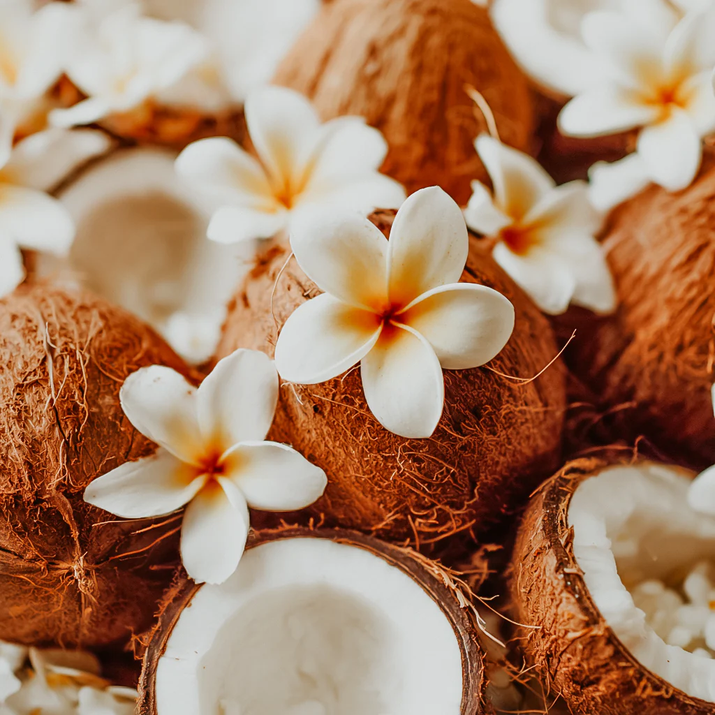 Coconut Frangipani | Fragrance Oil