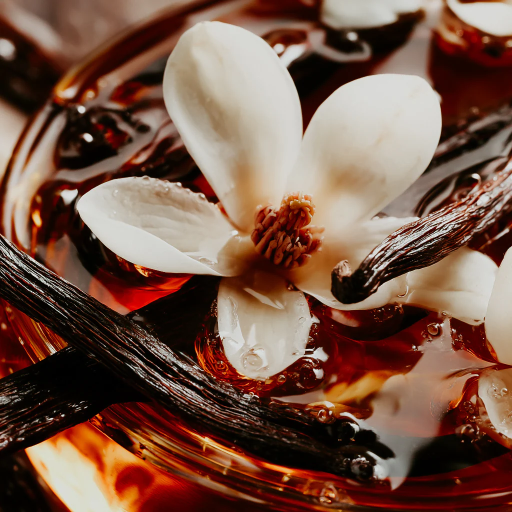 Decadent Vanilla | Fragrance Oil