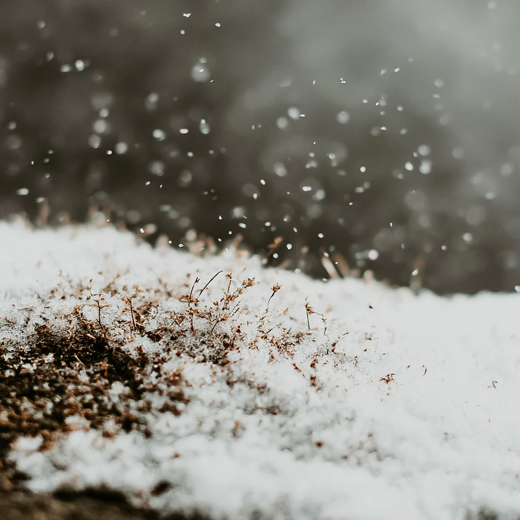 Fallen Snow | Fragrance Oil
