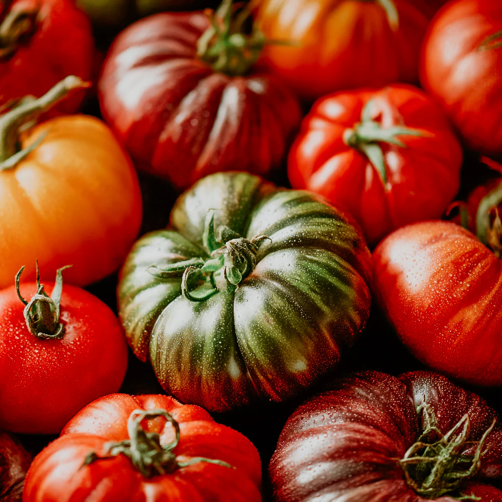 Heirloom Tomatoes | Fragrance Oil