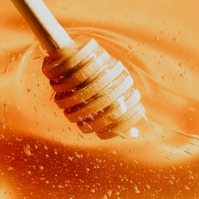 Honey Skin | Fragrance Oil