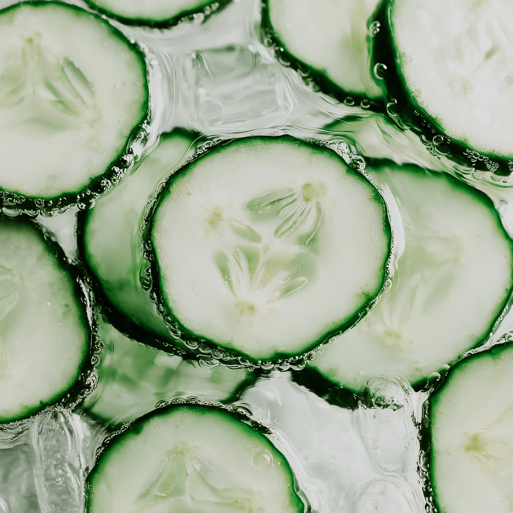 Spa Water | Fragrance Oil