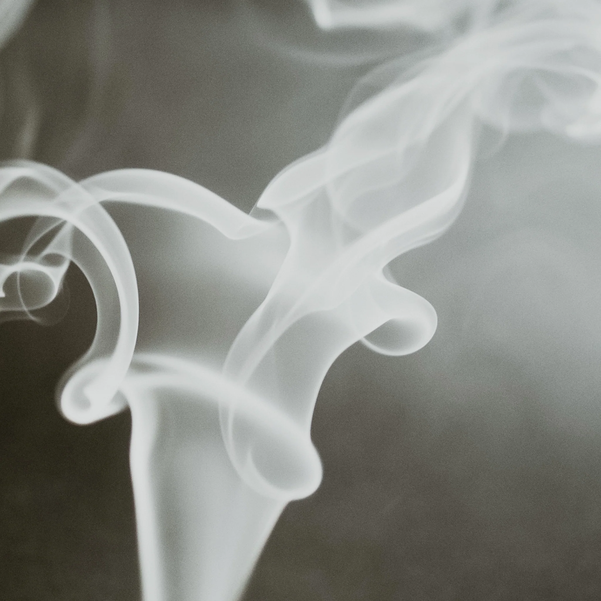 Sweet Smoke | Fragrance Oil