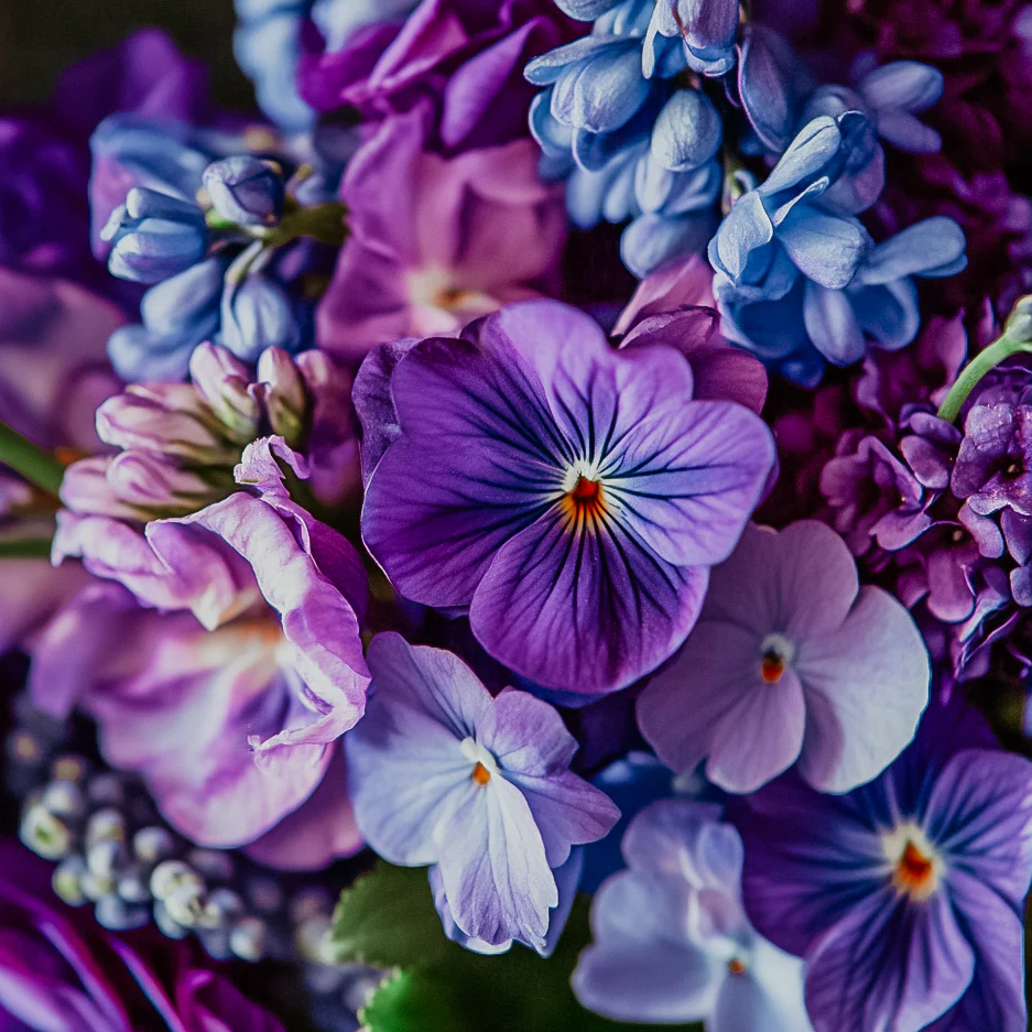 Violet Bouquet | Fragrance Oil